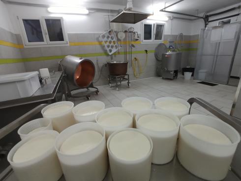 Immagine CASEIFITZIU AGRICULU MANDROLISAI DI SANNA GEROLAMO CASEIFITZIU AGRICULU MANDROLISAI DI SANNA GEROLAMO