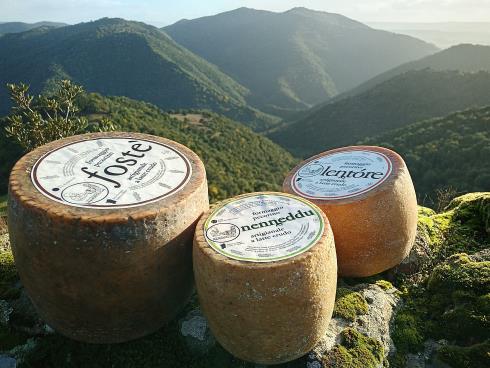Immagine CASEIFITZIU AGRICULU MANDROLISAI DI SANNA GEROLAMO CASEIFITZIU AGRICULU MANDROLISAI DI SANNA GEROLAMO