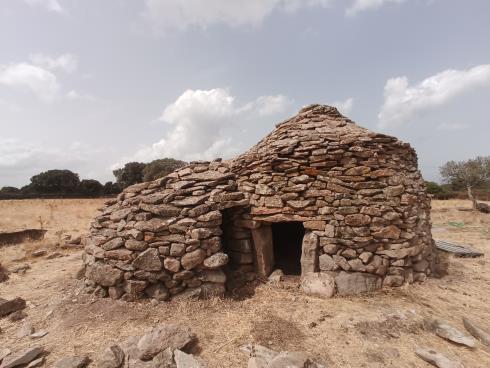 Immagine CASEIFITZIU AGRICULU MANDROLISAI DI SANNA GEROLAMO CASEIFITZIU AGRICULU MANDROLISAI DI SANNA GEROLAMO