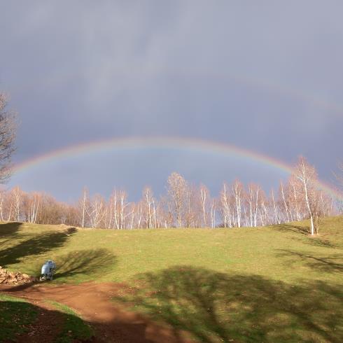 Immagine Cascina degli ori di crestani cristina Cascina degli ori di crestani cristina