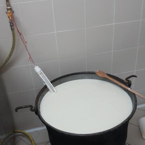 Immagine Cascina degli ori di crestani cristina Cascina degli ori di crestani cristina