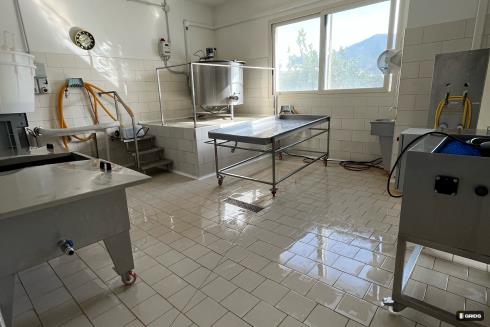 Immagine Spadula Caseificio Gonnosfanadiga Spadula Caseificio Gonnosfanadiga