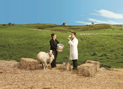 Immagine Argiolas Formaggi Srl Argiolas Formaggi Srl