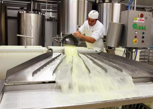 Immagine Argiolas Formaggi Srl Argiolas Formaggi Srl