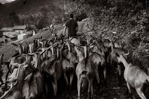 Immagine Fattoria al Dos Fattoria al Dos