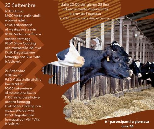 Immagine AZIENDA AGRICOLA E ZOOTECNICA POSTICCHIA SABELLI - SOCIETA' AGRICOLA SEMPLICE AZIENDA AGRICOLA E ZOOTECNICA POSTICCHIA SABELLI - SOCIETA' AGRICOLA SEMPLICE