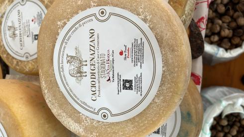 Immagine L'Oca Bianca L'Oca Bianca